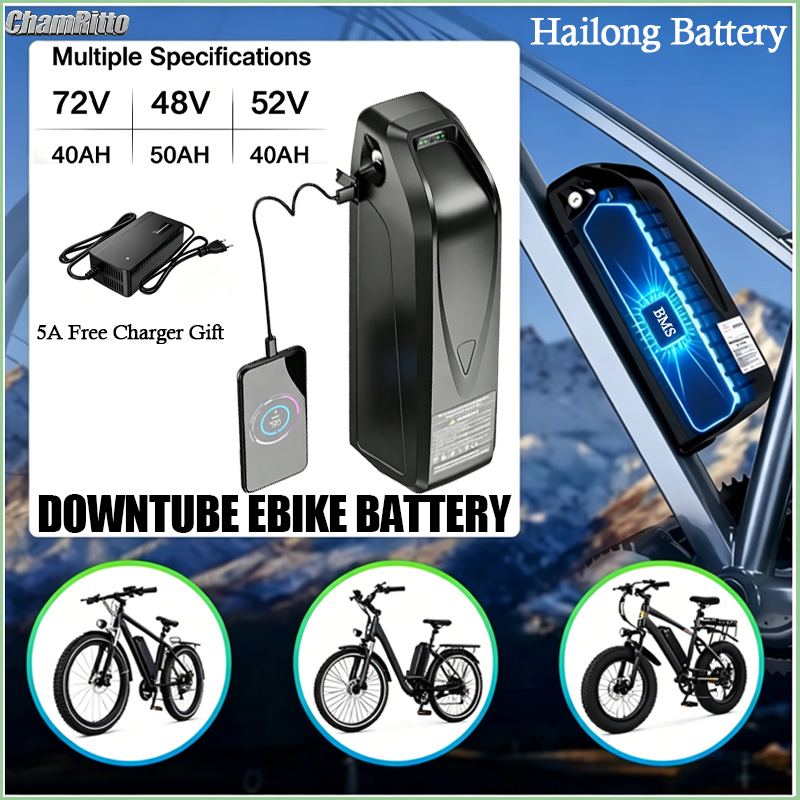 Ebike Battery 48V 20Ah Hailong - Batterie de vélo électrique Hailong 48V